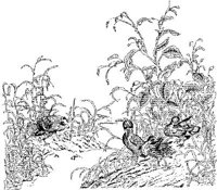 TKR038A.JPG