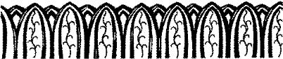 TKR033D.JPG