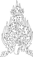 TKR012A.JPG