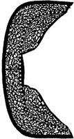 TKR009D.JPG