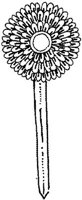 TKR007N.JPG