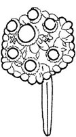TKR007C.JPG