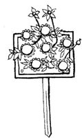 TKR007A.JPG