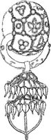 TKR006D.JPG
