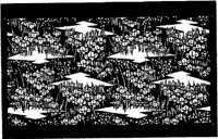 TJP095B.JPG