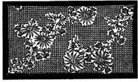TJP043A.JPG
