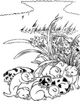 JPN025A.JPG
