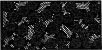 JFS071A.JPG