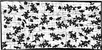 JFS069A.JPG