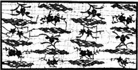 JFS064B.JPG