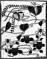 JFS034A.JPG