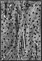 JFS005A.JPG