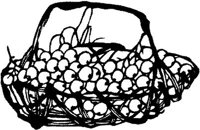 CDS004A.JPG