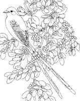 SBF037A.JPG