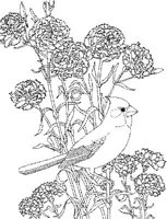 SBF036A.JPG