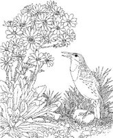 SBF027A.JPG