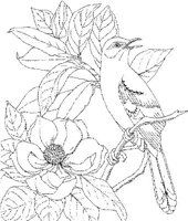 SBF025A.JPG