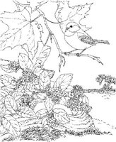SBF022A.JPG