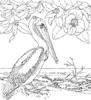 SBF019A.JPG
