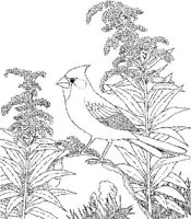SBF018A.JPG