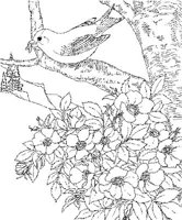 SBF016A.JPG