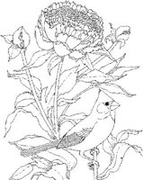 SBF015A.JPG