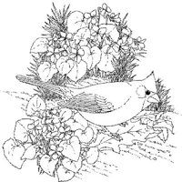 SBF014A.JPG