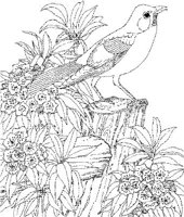 SBF008A.JPG