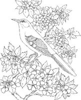SBF005A.JPG