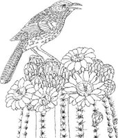 SBF004A.JPG