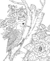 SBF002A.JPG