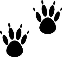 PAWS.WMF