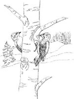 FFB017A.JPG