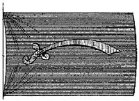PMI191H2.JPG