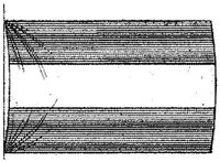 PMI191G3.JPG