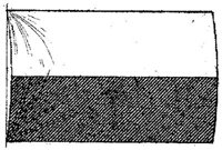 PMI191BB.JPG