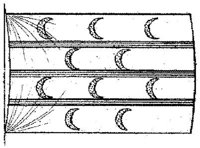 PMI191B1.JPG