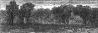 GRAY1378.jpg