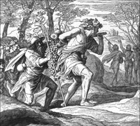 GRAY1432.jpg