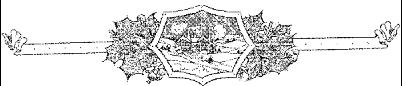 WMG047A.JPG