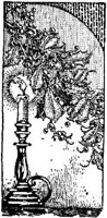 WMG046R.JPG