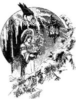 OXM028F.JPG