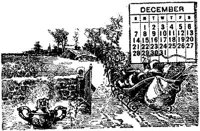 OXM025E.JPG