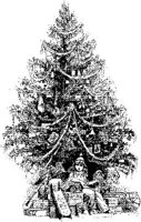 OXM024G.JPG
