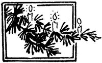 ADS037H.JPG