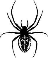 SPIDER.WMF