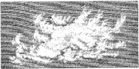 HPN025AC.JPG