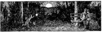OCI011L.JPG