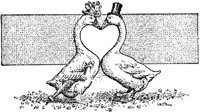 LVR024F.JPG