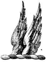 HRC109L.JPG